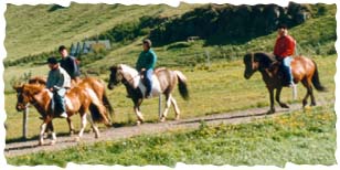 Horseback riding in Iceland