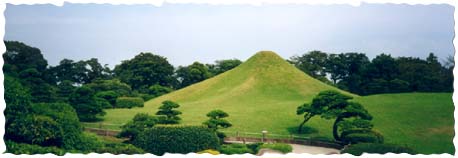 Mt. Fuji in park